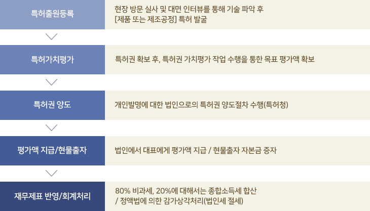 특허 자본화의 진행과정