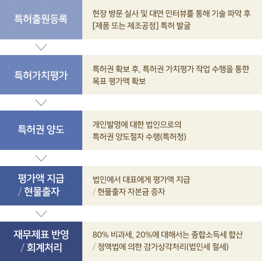 특허 자본화의 진행과정